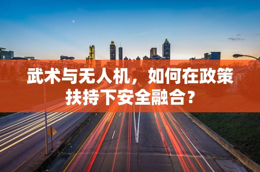 武术与无人机，如何在政策扶持下安全融合？