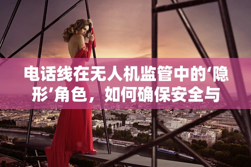 电话线在无人机监管中的‘隐形’角色，如何确保安全与合规？