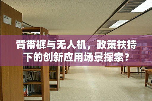 背带裤与无人机，政策扶持下的创新应用场景探索？