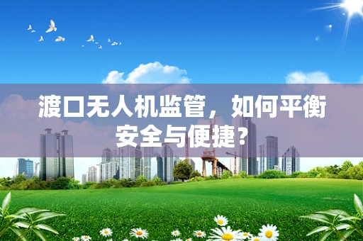 渡口无人机监管，如何平衡安全与便捷？