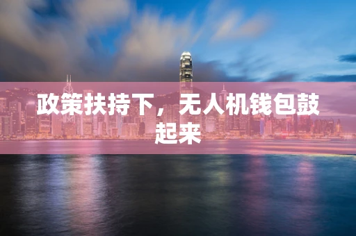 政策扶持下，无人机钱包鼓起来
