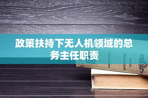 政策扶持下无人机领域的总务主任职责