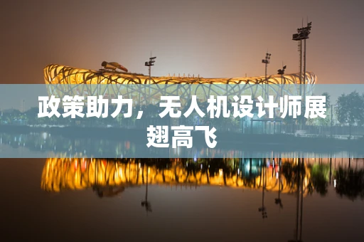 政策助力，无人机设计师展翅高飞
