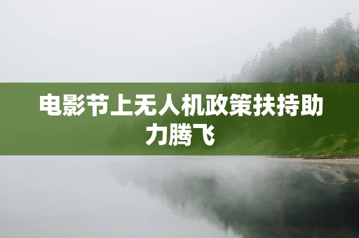 电影节上无人机政策扶持助力腾飞