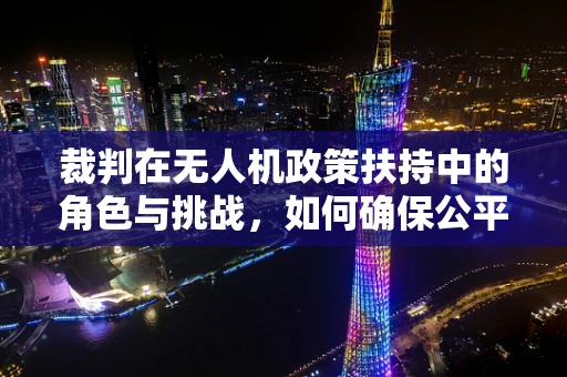 裁判在无人机政策扶持中的角色与挑战，如何确保公平与安全？