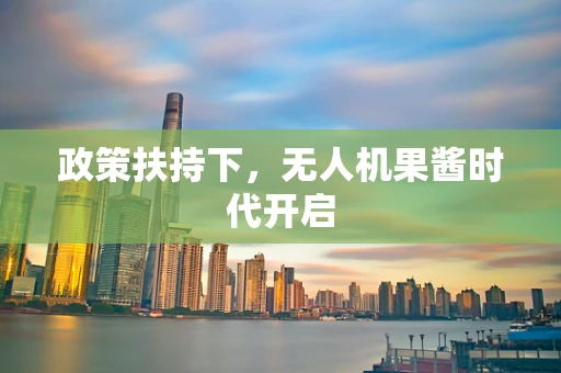 政策扶持下，无人机果酱时代开启