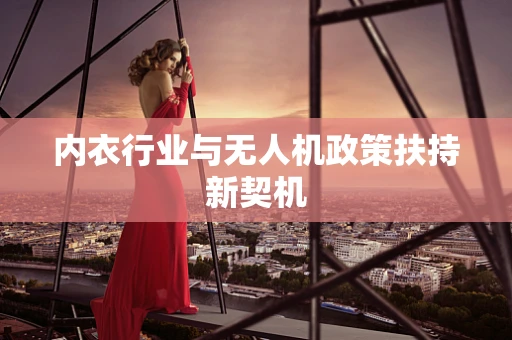 内衣行业与无人机政策扶持新契机