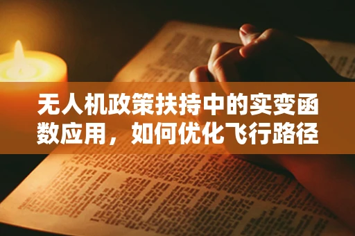 无人机政策扶持中的实变函数应用，如何优化飞行路径规划？