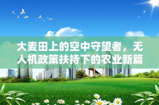 大麦田上的空中守望者，无人机政策扶持下的农业新篇章？