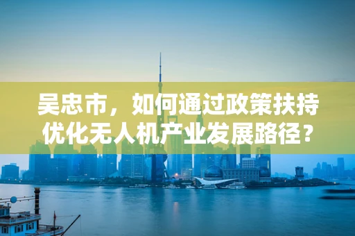 吴忠市，如何通过政策扶持优化无人机产业发展路径？