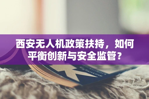 西安无人机政策扶持，如何平衡创新与安全监管？