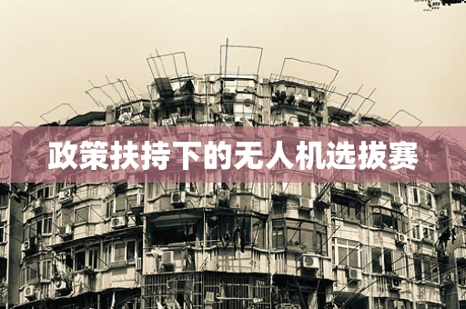 政策扶持下的无人机选拔赛