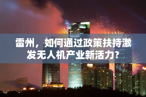 雷州，如何通过政策扶持激发无人机产业新活力？