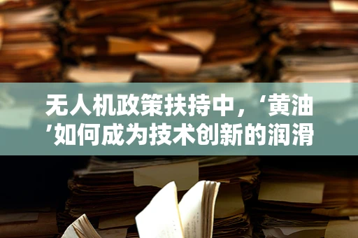 无人机政策扶持中，‘黄油’如何成为技术创新的润滑剂？