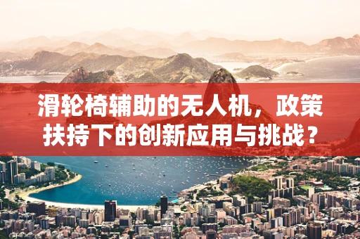 滑轮椅辅助的无人机，政策扶持下的创新应用与挑战？