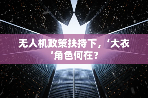 无人机政策扶持下，‘大衣’角色何在？
