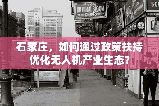 石家庄，如何通过政策扶持优化无人机产业生态？