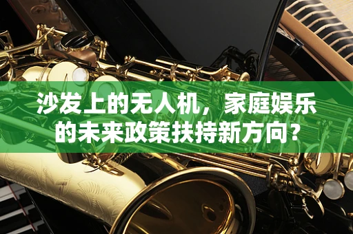 沙发上的无人机，家庭娱乐的未来政策扶持新方向？