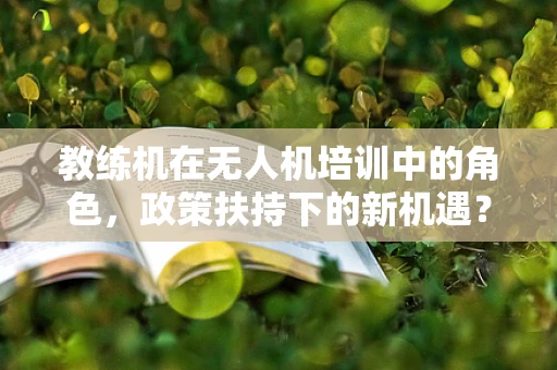教练机在无人机培训中的角色，政策扶持下的新机遇？