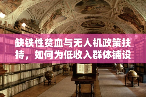 缺铁性贫血与无人机政策扶持，如何为低收入群体铺设空中医疗援助之路？