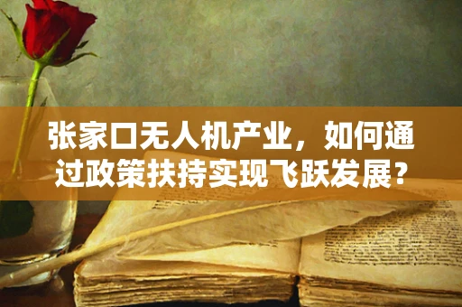 张家口无人机产业，如何通过政策扶持实现飞跃发展？