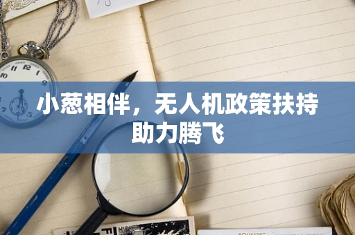 小葱相伴，无人机政策扶持助力腾飞