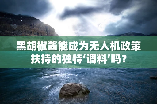 黑胡椒酱能成为无人机政策扶持的独特‘调料’吗？