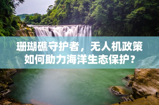 珊瑚礁守护者，无人机政策如何助力海洋生态保护？