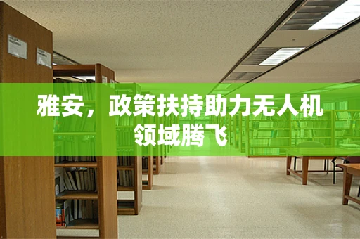 雅安，政策扶持助力无人机领域腾飞