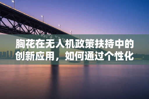 胸花在无人机政策扶持中的创新应用，如何通过个性化标识提升监管效率？