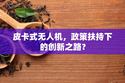 皮卡式无人机，政策扶持下的创新之路？