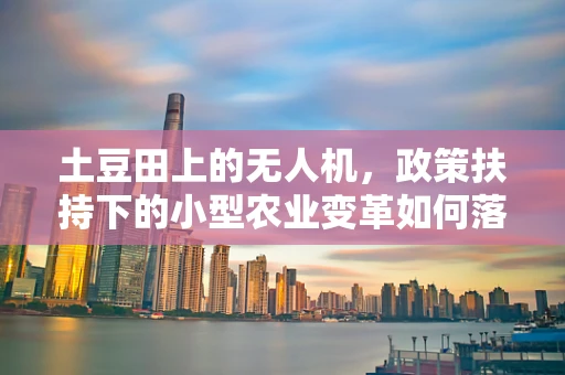 土豆田上的无人机，政策扶持下的小型农业变革如何落地？
