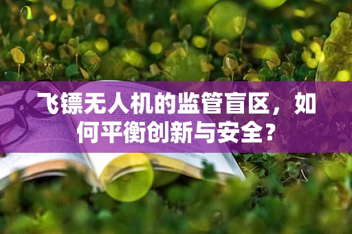 飞镖无人机的监管盲区，如何平衡创新与安全？