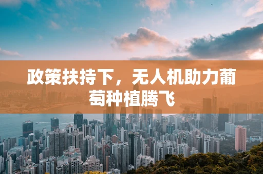 政策扶持下，无人机助力葡萄种植腾飞