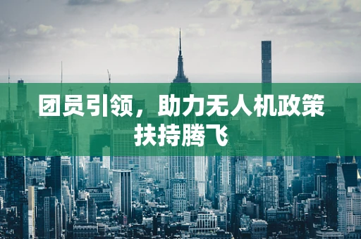 团员引领，助力无人机政策扶持腾飞