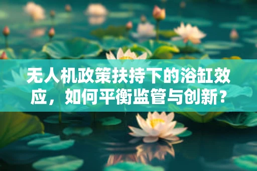 无人机政策扶持下的浴缸效应，如何平衡监管与创新？