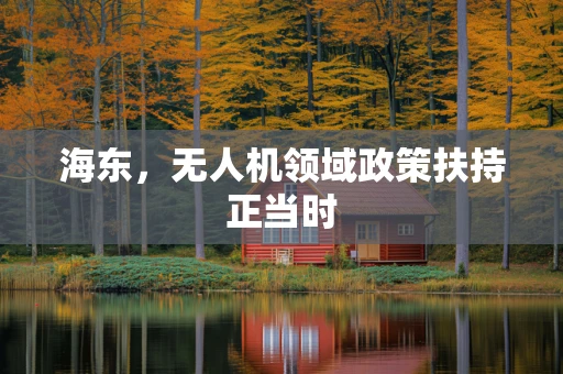 海东，无人机领域政策扶持正当时
