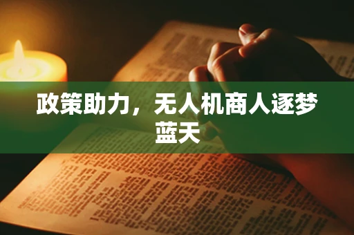 政策助力，无人机商人逐梦蓝天