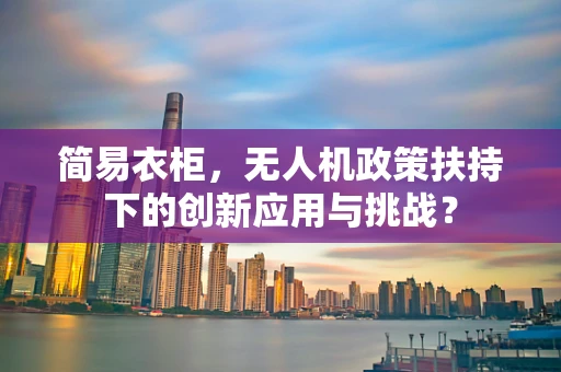 简易衣柜，无人机政策扶持下的创新应用与挑战？