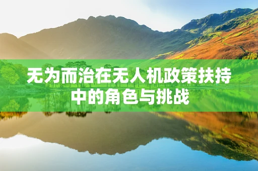无为而治在无人机政策扶持中的角色与挑战
