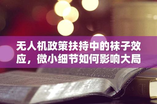 无人机政策扶持中的袜子效应，微小细节如何影响大局？