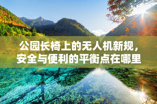 公园长椅上的无人机新规，安全与便利的平衡点在哪里？