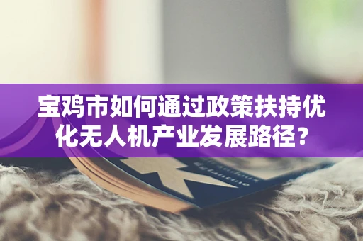 宝鸡市如何通过政策扶持优化无人机产业发展路径？
