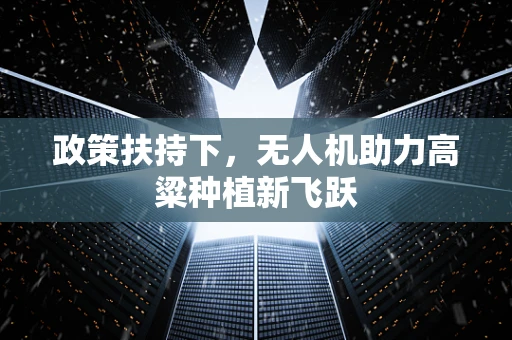 政策扶持下，无人机助力高粱种植新飞跃