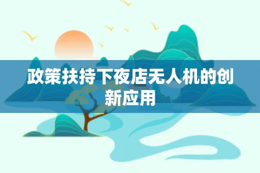政策扶持下夜店无人机的创新应用