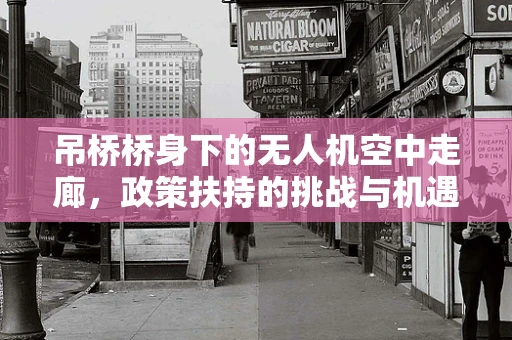 吊桥桥身下的无人机空中走廊，政策扶持的挑战与机遇？