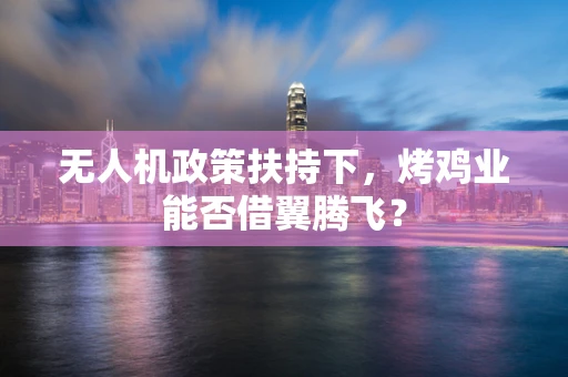 无人机政策扶持下，烤鸡业能否借翼腾飞？