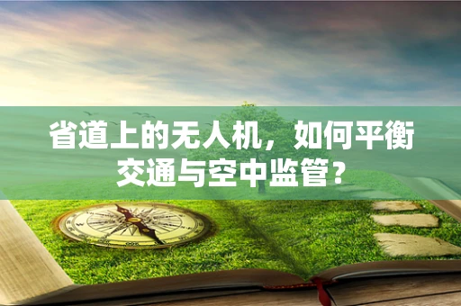 省道上的无人机，如何平衡交通与空中监管？
