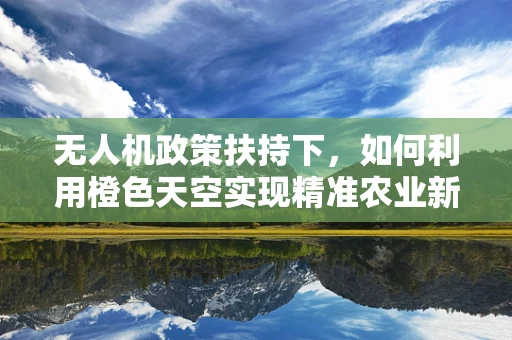 无人机政策扶持下，如何利用橙色天空实现精准农业新飞跃？