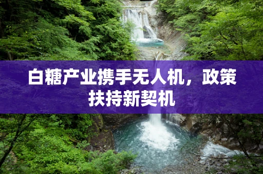 白糖产业携手无人机，政策扶持新契机